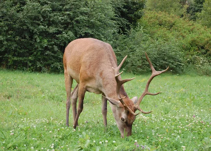 Teniscentrum Tatranska Lomnica